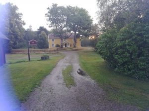 Ledare #5 Höst 2019 – Kalvfestivalen