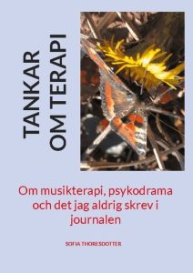 Tankar om terapi eller boken om det jag aldrig skrev i journalen