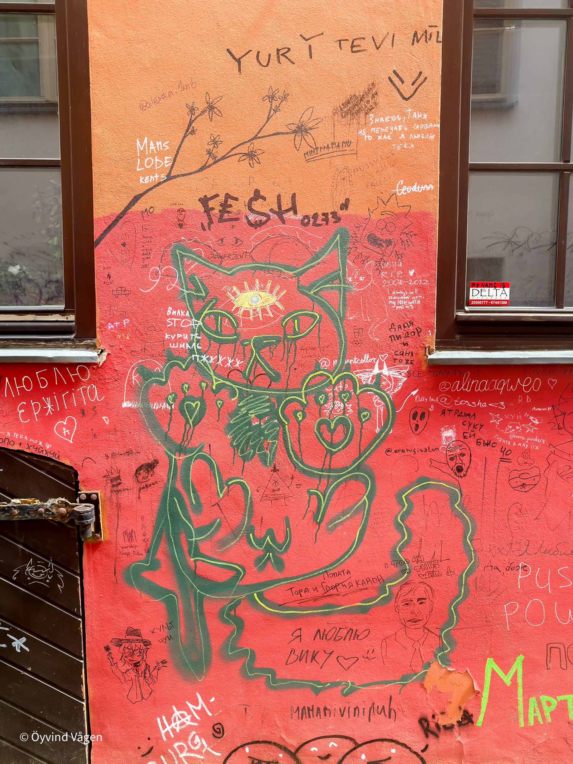 Kattillustration med graffiti runtomkring.