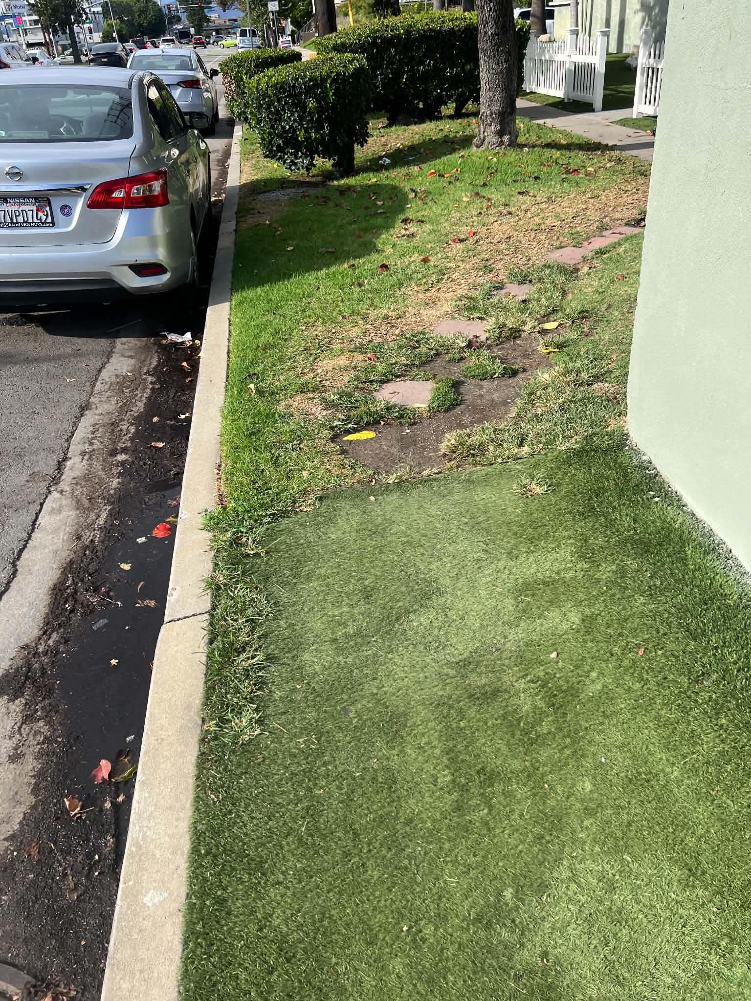 Gräs och spridda plattor mellan parkerade bilar och en husvägg.