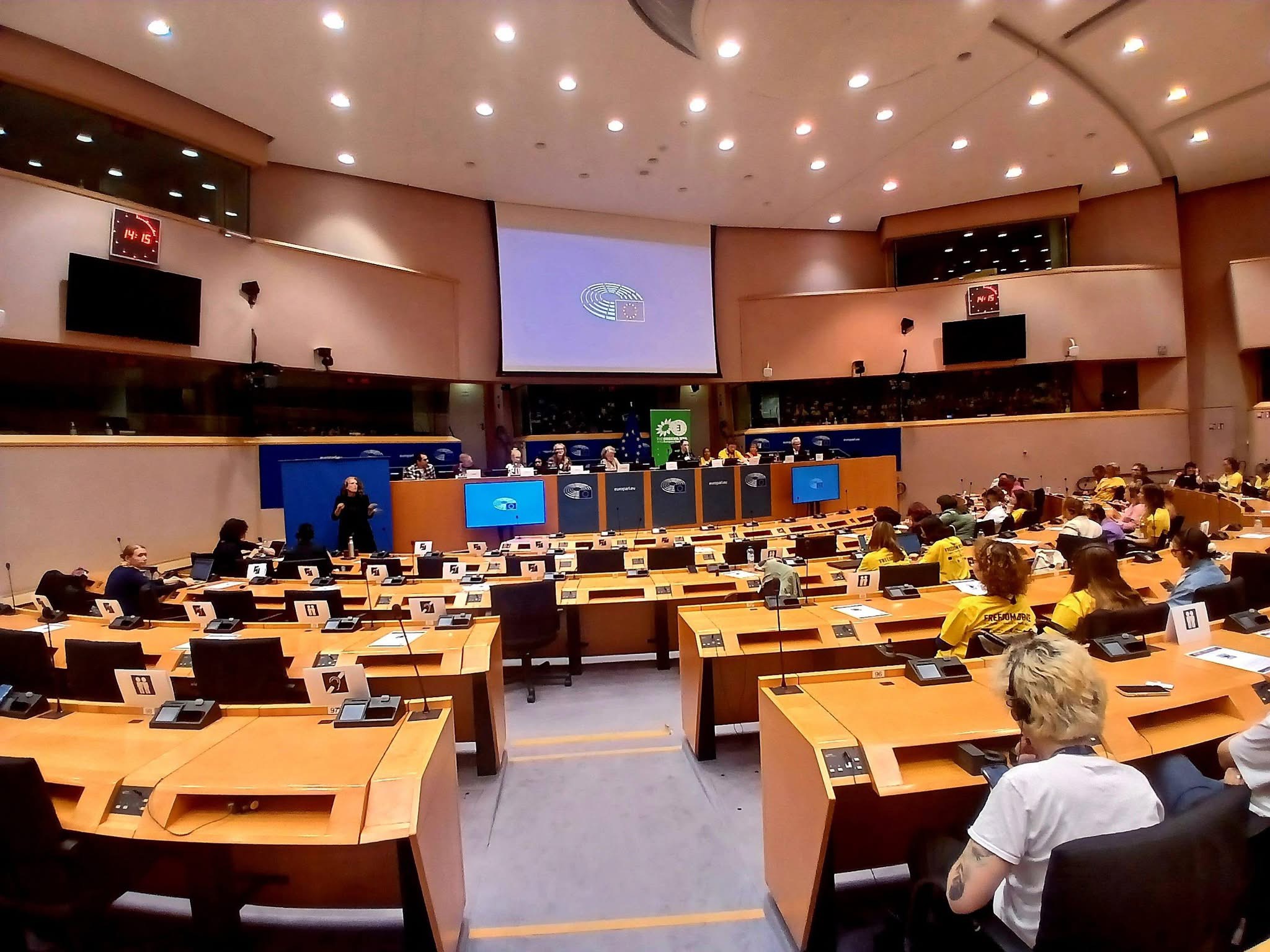 Möte med panel och publik i Europaparlamentet