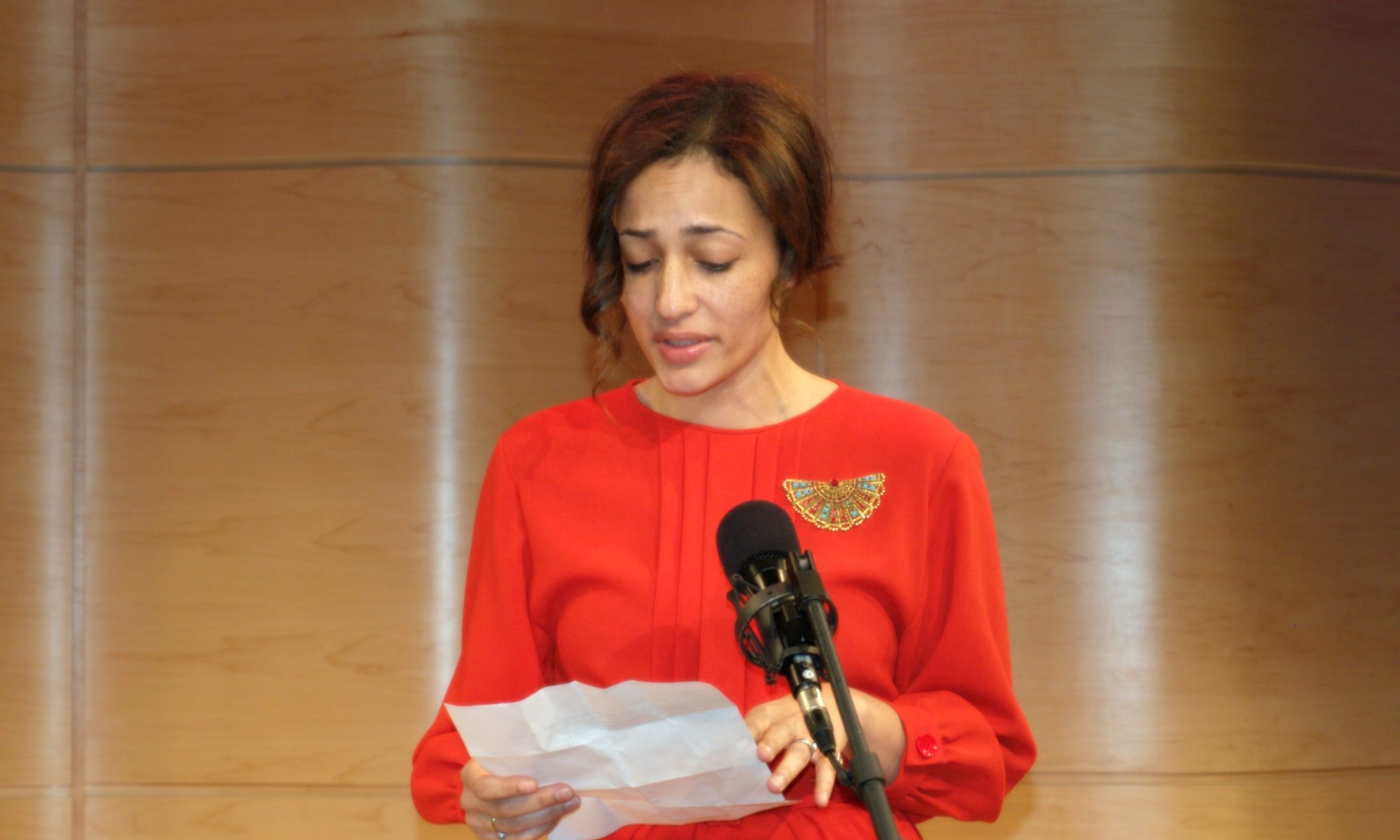 Zadie Smith vid National Book Critics Circles presentation 2011.